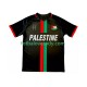 Club Deportivo Palestino Center Stripre Muži Fotbalový dres Domácí 2024-2025 Krátký rukáv