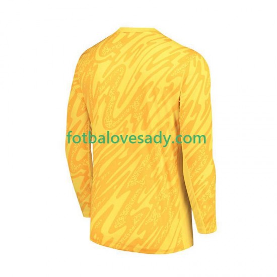 Francie Žlutá Brankář Muži Fotbalový dres Domácí Euro 2024 Dlouhý rukáv