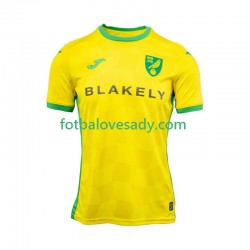 Norwich City Muži Fotbalový dres Domácí 2024-2025 Krátký rukáv