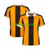 Hull City Muži Fotbalový dres Domácí 2026-2027 Krátký rukáv