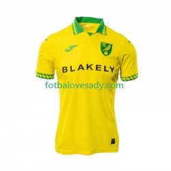 Norwich City Muži Fotbalový dres Domácí 2025-2026 Krátký rukáv