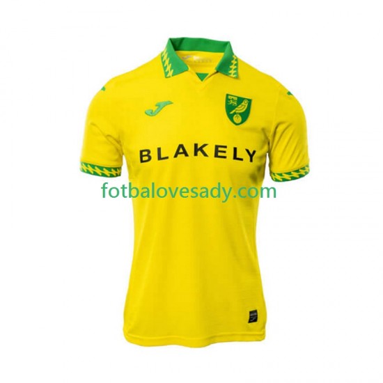 Norwich City Muži Fotbalový dres Domácí 2025-2026 Krátký rukáv